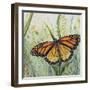 JP2543-Botanical Beauties-Jean Plout-Framed Giclee Print