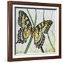 JP2545-Botanical Beauties-Jean Plout-Framed Giclee Print