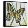 JP2545-Botanical Beauties-Jean Plout-Framed Stretched Canvas
