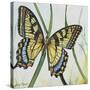JP2545-Botanical Beauties-Jean Plout-Stretched Canvas