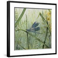 JP2546-Botanical Beauties-Jean Plout-Framed Giclee Print