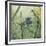 JP2546-Botanical Beauties-Jean Plout-Framed Giclee Print