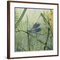 JP2546-Botanical Beauties-Jean Plout-Framed Giclee Print