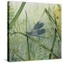 JP2546-Botanical Beauties-Jean Plout-Stretched Canvas