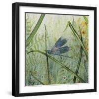 JP2546-Botanical Beauties-Jean Plout-Framed Giclee Print