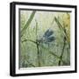 JP2546-Botanical Beauties-Jean Plout-Framed Giclee Print