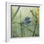 JP2546-Botanical Beauties-Jean Plout-Framed Giclee Print