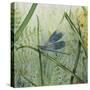 JP2546-Botanical Beauties-Jean Plout-Stretched Canvas