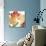 JP2583-Tulip-A-Jean Plout-Giclee Print displayed on a wall