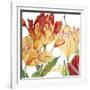 JP2583-Tulip-A-Jean Plout-Framed Giclee Print