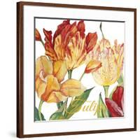 JP2583-Tulip-A-Jean Plout-Framed Giclee Print