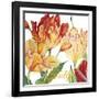 JP2583-Tulip-A-Jean Plout-Framed Giclee Print