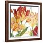 JP2583-Tulip-A-Jean Plout-Framed Giclee Print