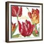 JP2585-Tulip-C-Jean Plout-Framed Giclee Print