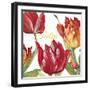 JP2585-Tulip-C-Jean Plout-Framed Giclee Print