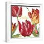 JP2585-Tulip-C-Jean Plout-Framed Giclee Print