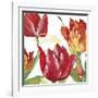 JP2585-Tulip-C-Jean Plout-Framed Giclee Print