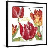 JP2585-Tulip-C-Jean Plout-Framed Giclee Print