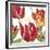 JP2585-Tulip-C-Jean Plout-Framed Giclee Print