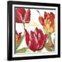 JP2585-Tulip-C-Jean Plout-Framed Giclee Print