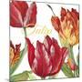 JP2585-Tulip-C-Jean Plout-Mounted Giclee Print