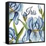 JP2586-Iris-Jean Plout-Framed Stretched Canvas