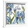 JP2586-Iris-Jean Plout-Framed Giclee Print