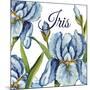 JP2586-Iris-Jean Plout-Mounted Giclee Print