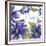 JP2587-Cineraria-Jean Plout-Framed Giclee Print