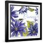 JP2587-Cineraria-Jean Plout-Framed Giclee Print