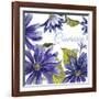 JP2587-Cineraria-Jean Plout-Framed Giclee Print