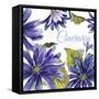 JP2587-Cineraria-Jean Plout-Framed Stretched Canvas