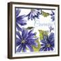 JP2587-Cineraria-Jean Plout-Framed Giclee Print