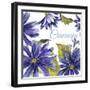 JP2587-Cineraria-Jean Plout-Framed Giclee Print