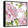 JP2590-Rose-A-Jean Plout-Framed Stretched Canvas
