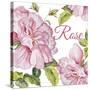 JP2590-Rose-A-Jean Plout-Stretched Canvas