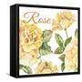 JP2591-Rose-B-Jean Plout-Framed Stretched Canvas