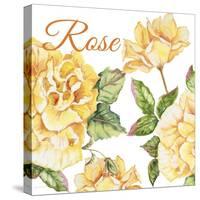 JP2591-Rose-B-Jean Plout-Stretched Canvas