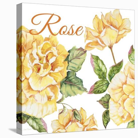 JP2591-Rose-B-Jean Plout-Stretched Canvas