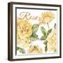 JP2591-Rose-B-Jean Plout-Framed Giclee Print