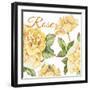 JP2591-Rose-B-Jean Plout-Framed Giclee Print