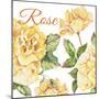 JP2591-Rose-B-Jean Plout-Mounted Giclee Print