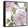 JP25923-Dahlia-Jean Plout-Framed Stretched Canvas