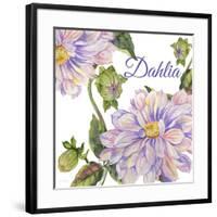 JP25923-Dahlia-Jean Plout-Framed Giclee Print