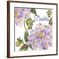 JP25923-Dahlia-Jean Plout-Framed Giclee Print