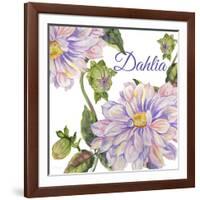 JP25923-Dahlia-Jean Plout-Framed Giclee Print