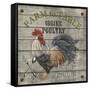 JP2628_Farm to Table-Jean Plout-Framed Stretched Canvas