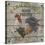 JP2628_Farm to Table-Jean Plout-Stretched Canvas