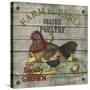 JP2630_Farm to Table-Poultry-Jean Plout-Stretched Canvas