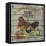 JP2630_Farm to Table-Poultry-Jean Plout-Framed Stretched Canvas